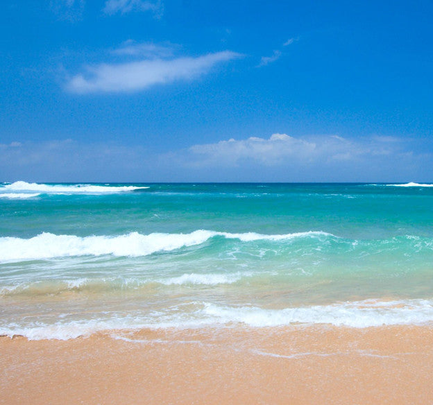 What is Thalassotherapy?